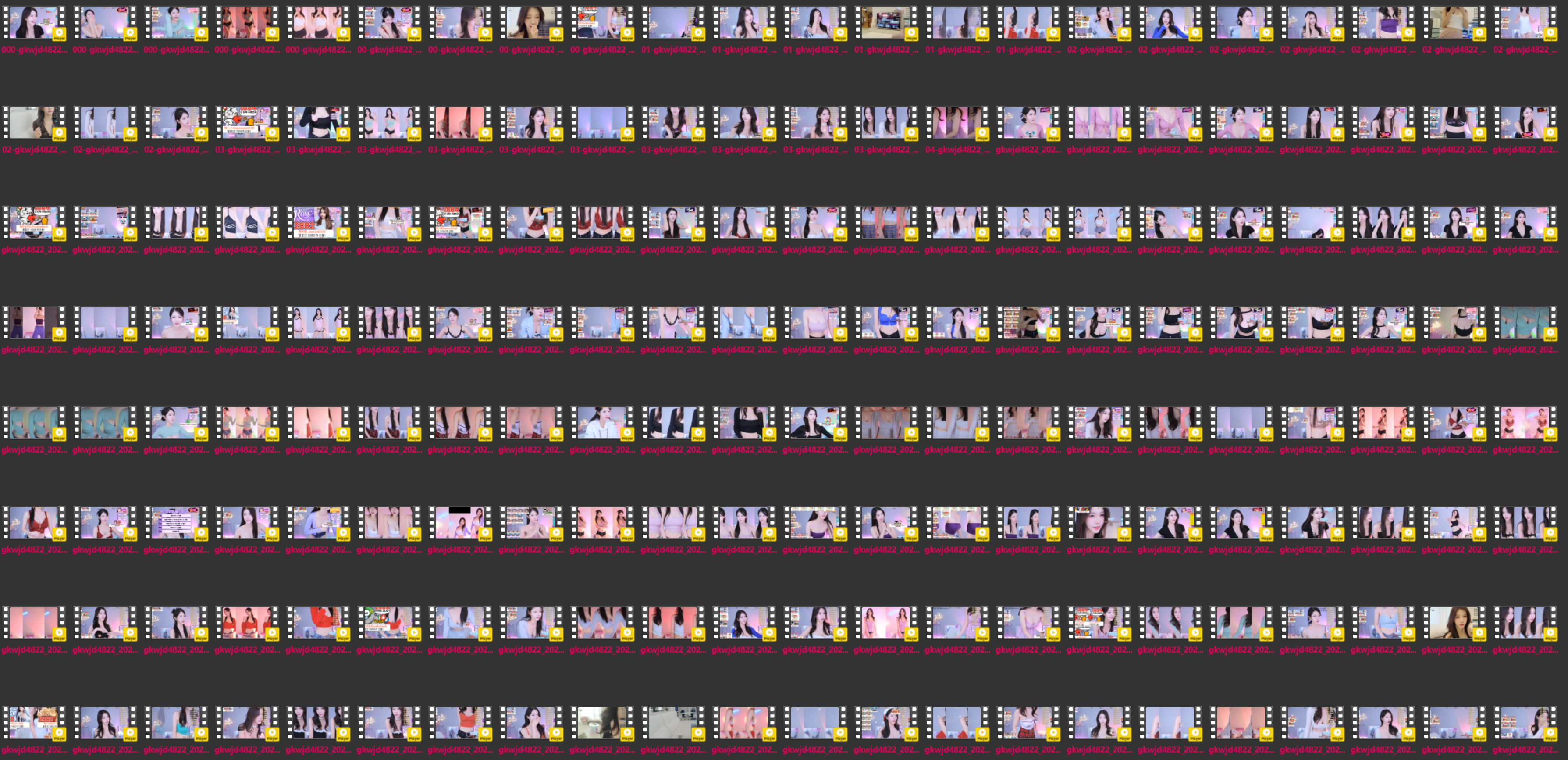 BJ 河正宇 何珍 하정 gkwjd4822 | 2023Q4 Collections
