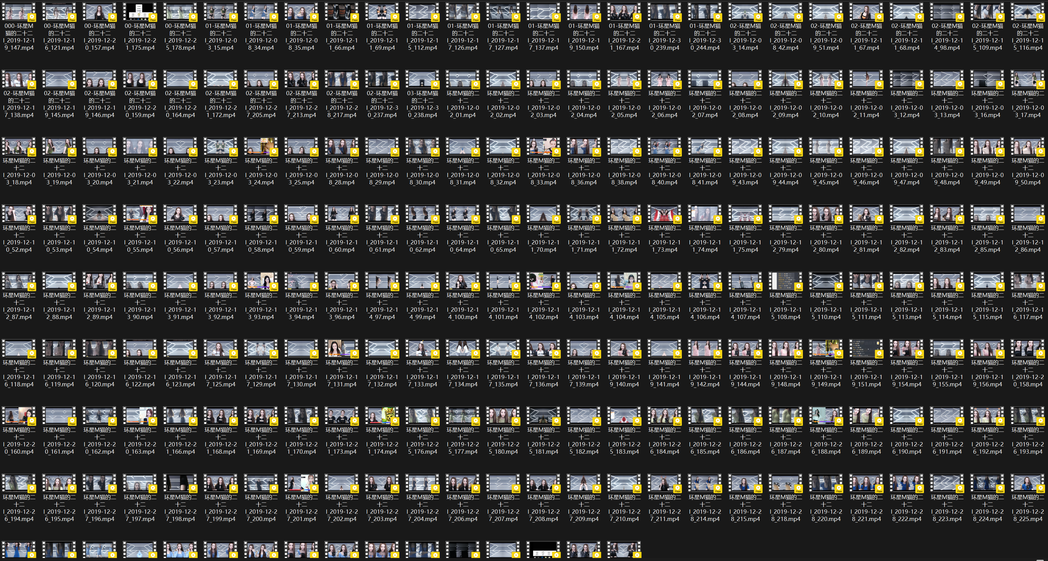 BJ 猫的二十二 | 2019年12月