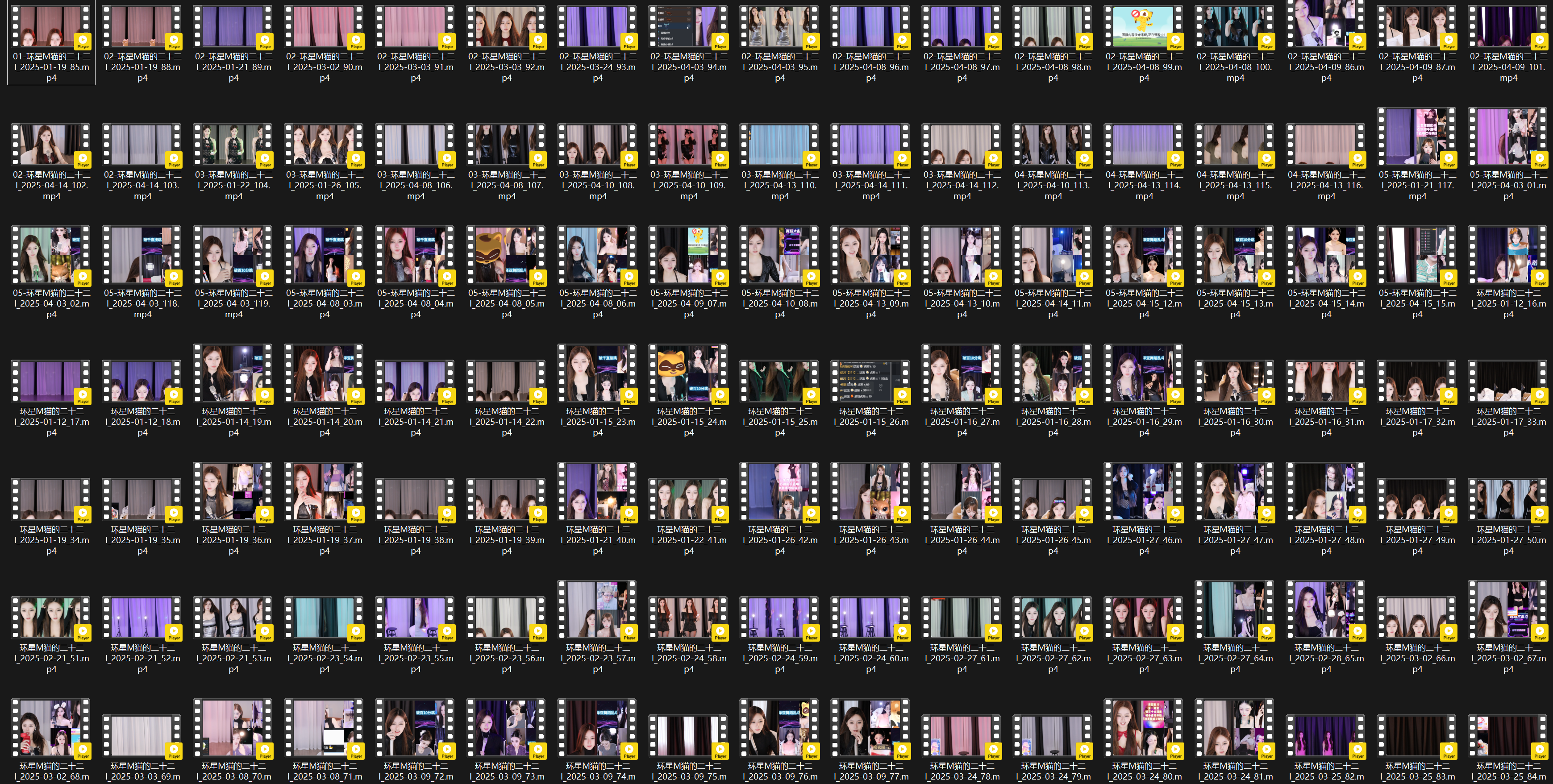 BJ 猫的二十二 | 2025年1-4月 Collections